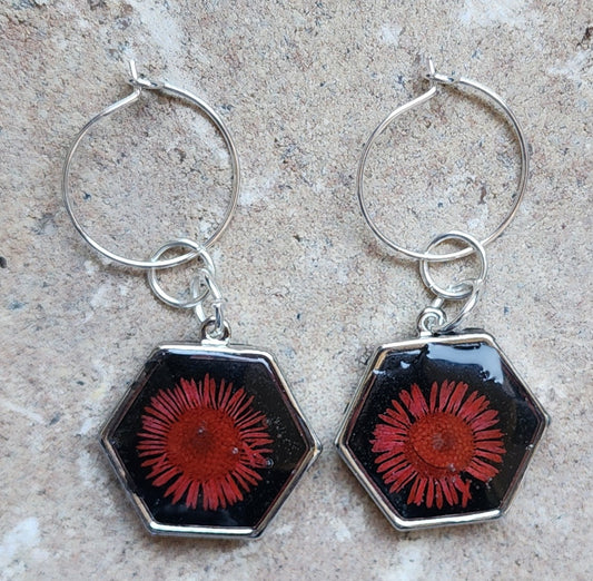 Pressed Flower Earrings - red bloom on black background