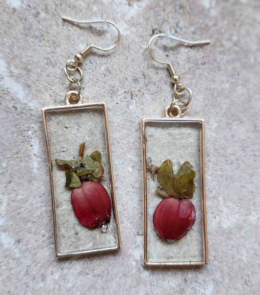 Pressed Flower Earrings - Hypericum Berries