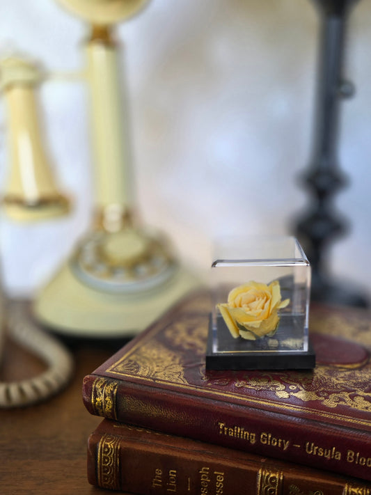 3D Yellow Rose in a Clear Display Case